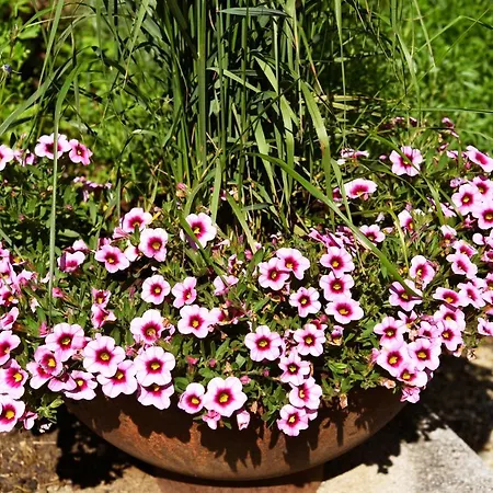 Apartment Anikas Quartier