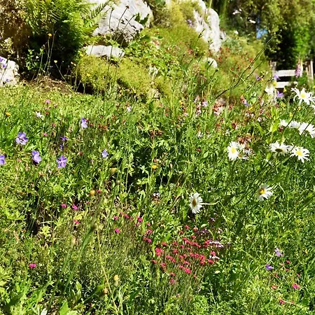 Anikas Quartier Apartmán Wagrain