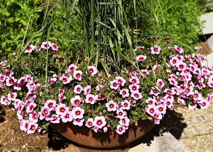 Appartamento Anikas Quartier