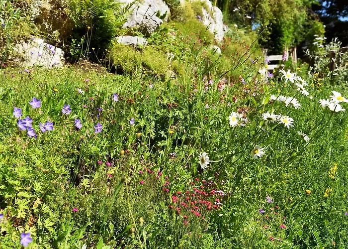 Anikas Quartier Διαμέρισμα Wagrain